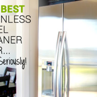 The BEST Stainless Steel Cleaner Ever!