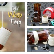 DIY Wasp Trap: All-Natural Solution