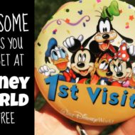 Free Things You Can Get At Disney World