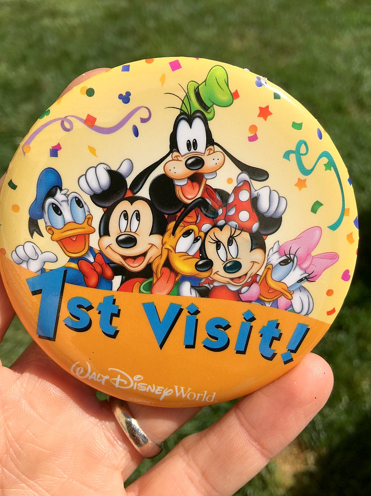 Disney World Pin