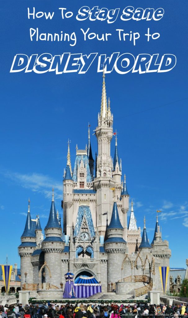 Disney World Castle