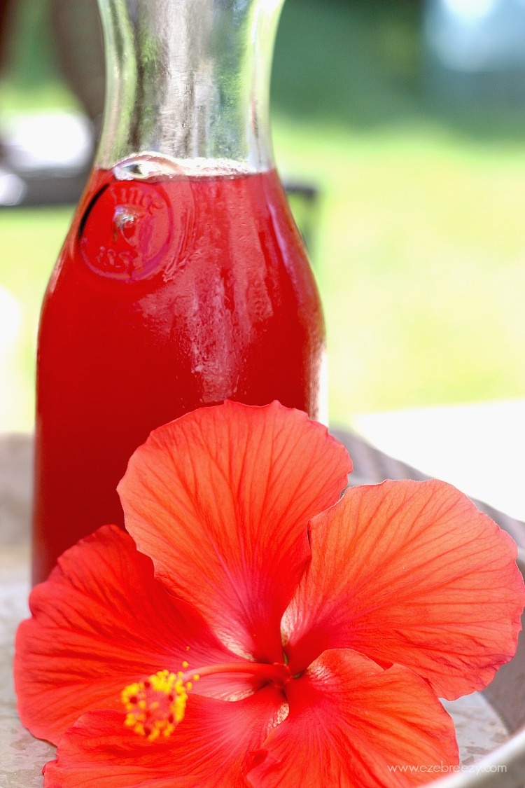 This Spiked Wild Berry Lemonade will hit the spot on hot summer days. Lemonade with tea infused with hibiscus and wild berries and a touch of rum make this summer favorite fun and refreshing.