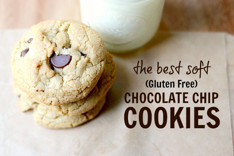 The BEST SOFT AND CHEWY Chocolate Chip Cookie - and it just so happends to be gluten free! | www.ezebreezy.com