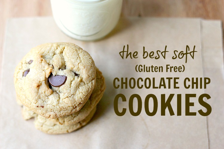 The BEST SOFT AND CHEWY Chocolate Chip Cookie - and it just so happends to be gluten free! | www.ezebreezy.com