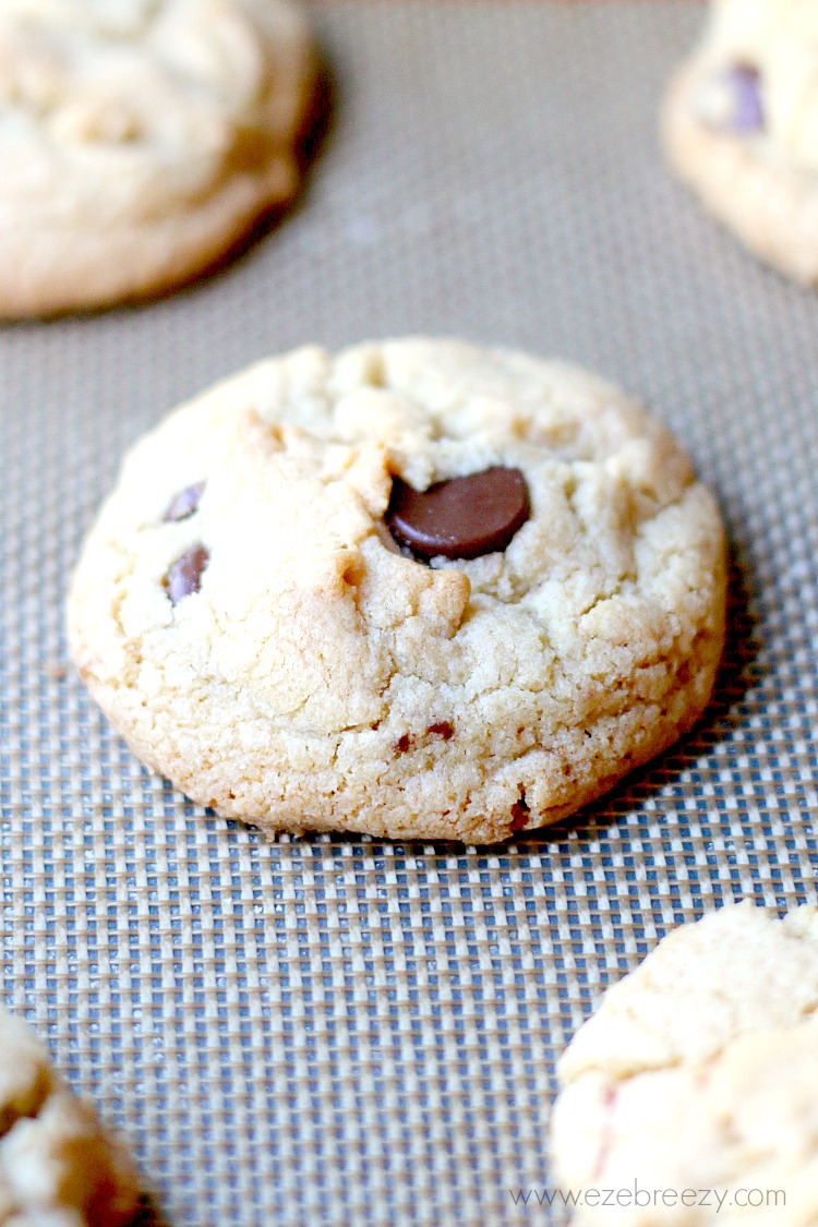 The BEST SOFT AND CHEWY Chocolate Chip Cookie - and it just so happends to be gluten free! | www.ezebreezy.com